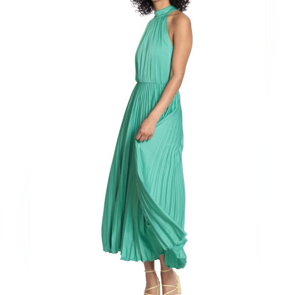 Maggy London Wintergreen Pleated Maxi Dress - Picture 3 of 3